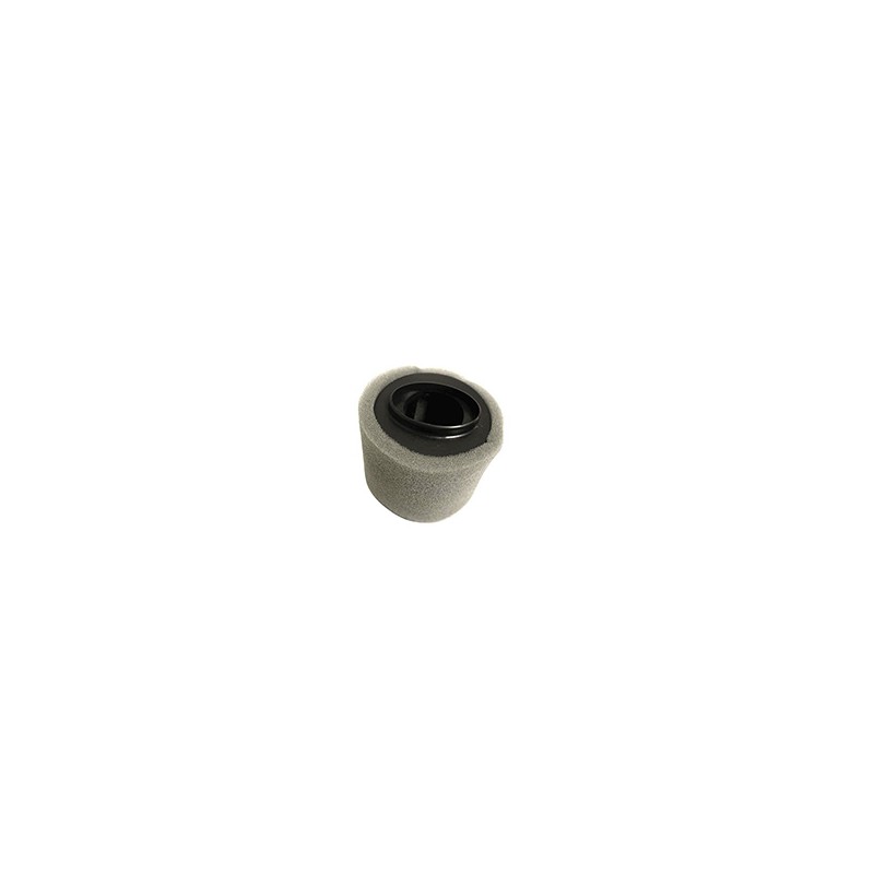 FILTRO AIRE FT125