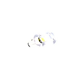 FOCO LED ALUM PREMIUM 10-85V 12W 1020LM