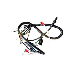 ARNES COMPLETO DM150