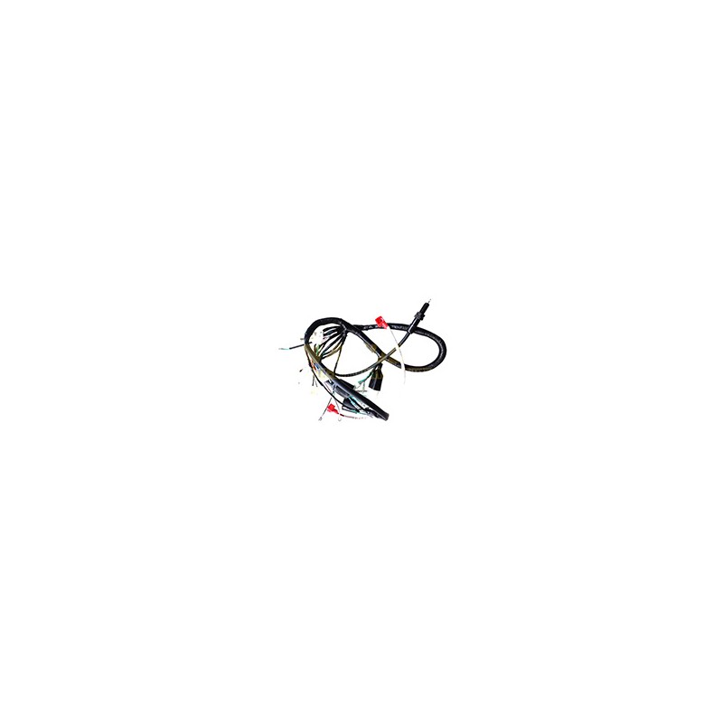 ARNES COMPLETO DM150