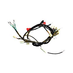ARNES COMPLETO DT-150 SPORT 17/FORZA-150 09-13/FT-