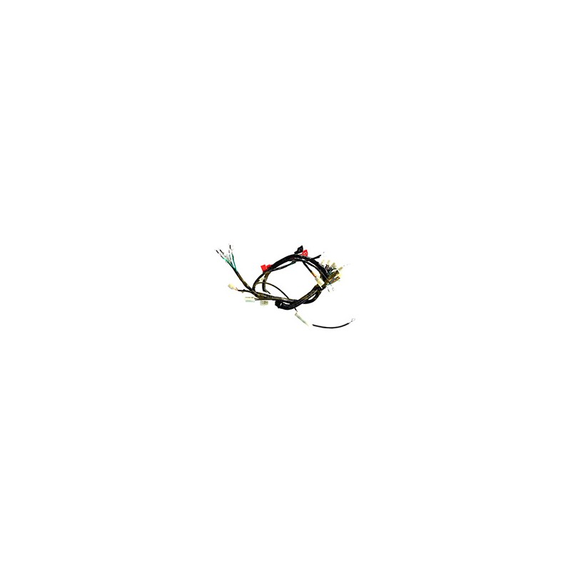 ARNES COMPLETO DT-150 SPORT 17/FORZA-150 09-13/FT-