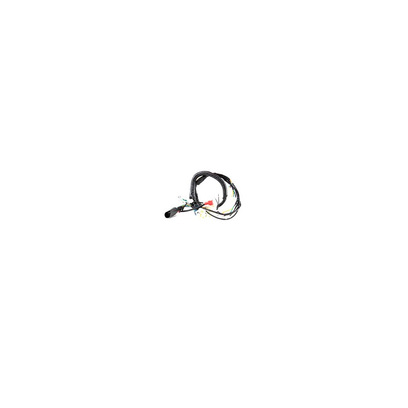 ARNES COMPLETO FORZA125 05-12/FT125CLASICA 12-14
