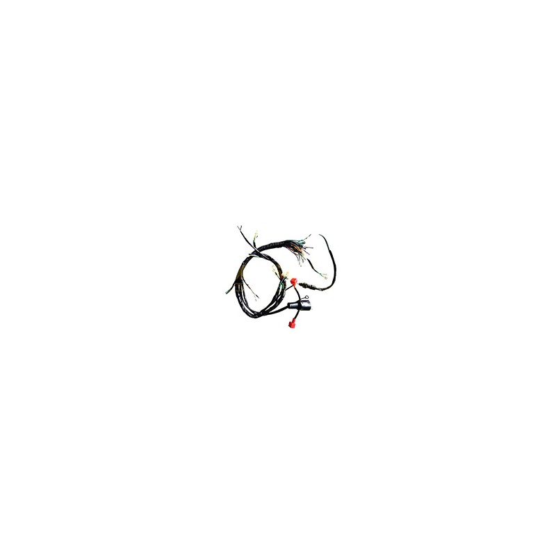ARNES COMPLETO FORZA125 2012/FT125CLASICA 17-18