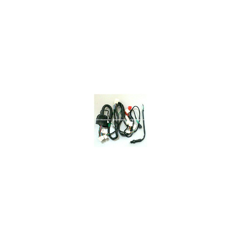 ARNES COMPLETO FT-110