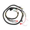 ARNES COMPLETO PRINCIPAL NEGRO DS150 DIABOLO125