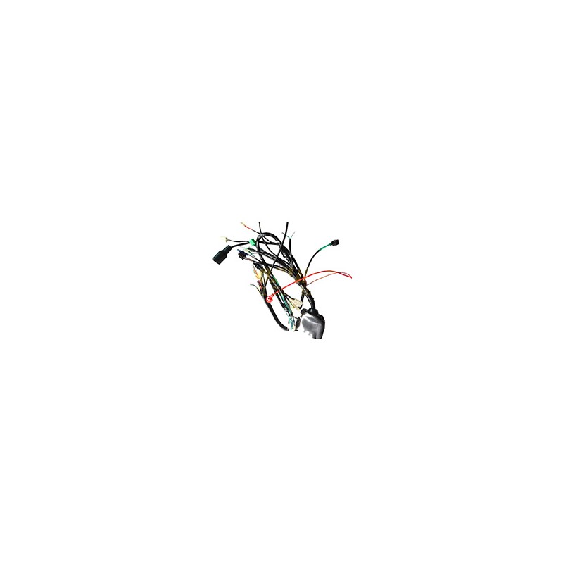 ARNES COMPLETO RC150