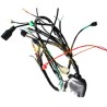 ARNES COMPLETO RC150
