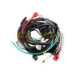 ARNES COMPLETO WS150/WS175/BWS125