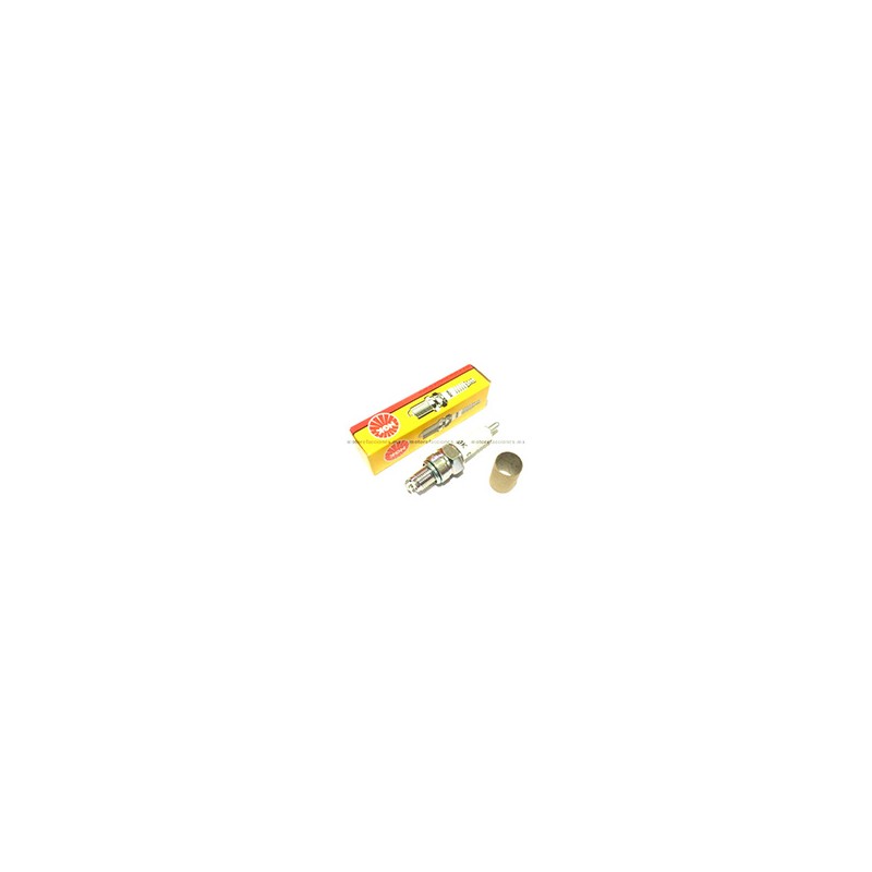 BUJIA NGK MOTO 2599