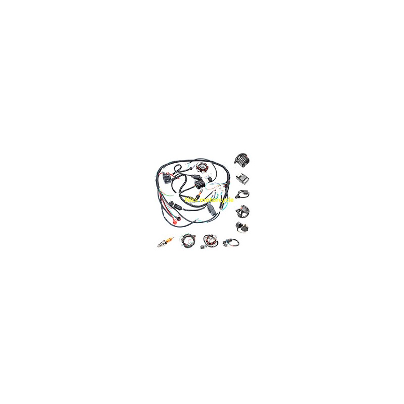 CHICOTE ACEL -A BWS125