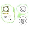 EMPAQUE JGO COMPLETO MOTOR BAJAJ C/SELLOS RETENES