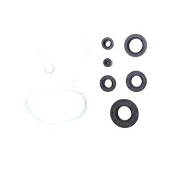 EMPAQUE JGO COMPLETO SUZUKI AX100 100CC