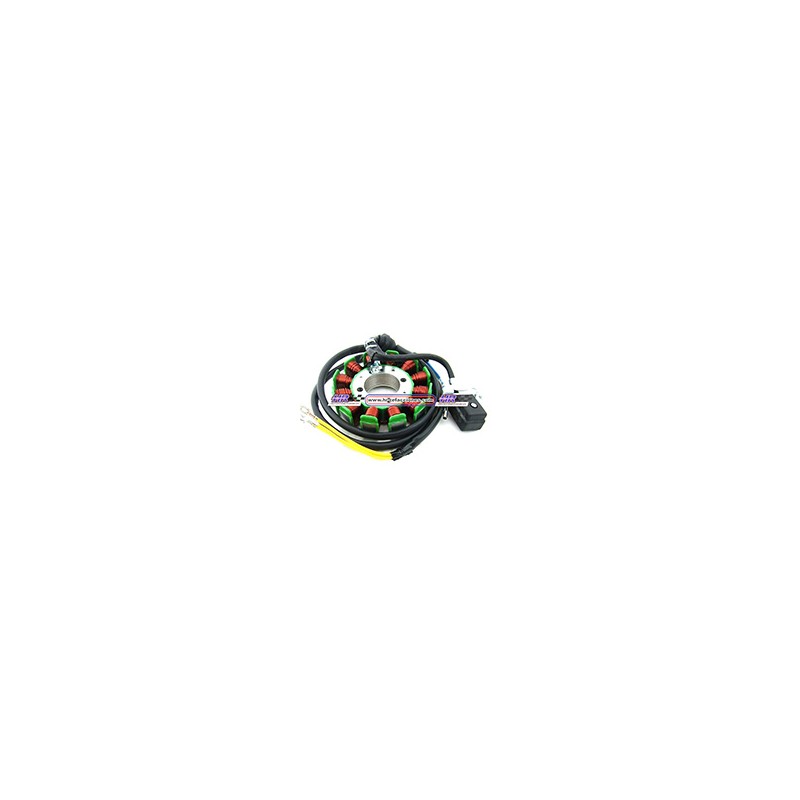 ESTATOR 11 BOBINAS ITALIKA EX200