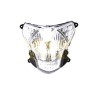 FARO CONJUNTO ITALIKA 250Z